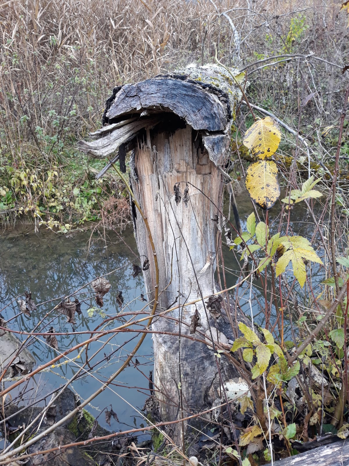 Galeriebild: WhatsApp Image 2022 06 05 at 16.58.33 (2)